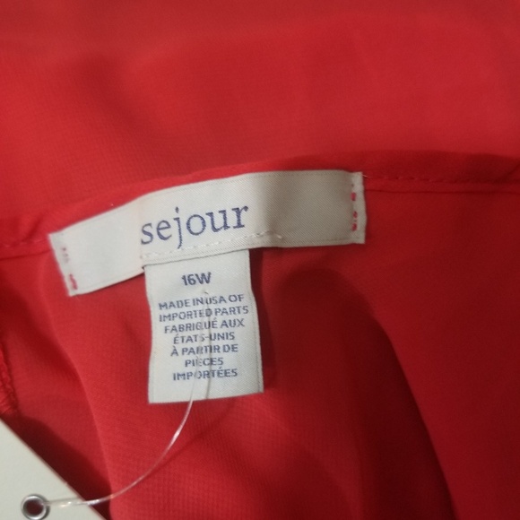 Sheer Ruffle Camisole Plus Size Top - Picture 7 of 8